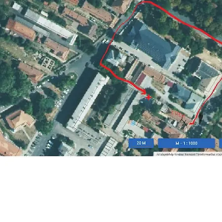 Bazsalikom Vendeghaz * Sarospatak